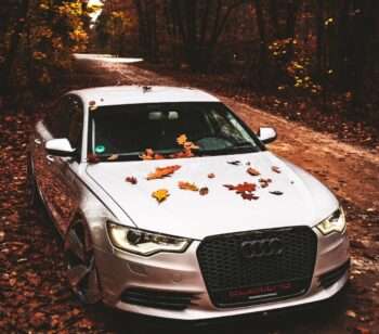 Gewinner Car Battle 25